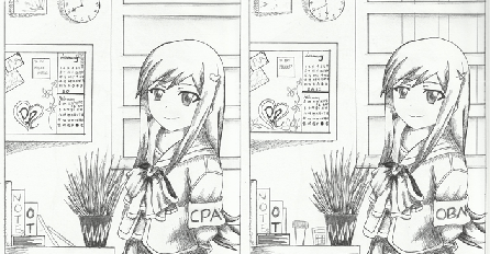 TESTIRAJTE SVOJ VID: Koliko vidite razlika na slikama?