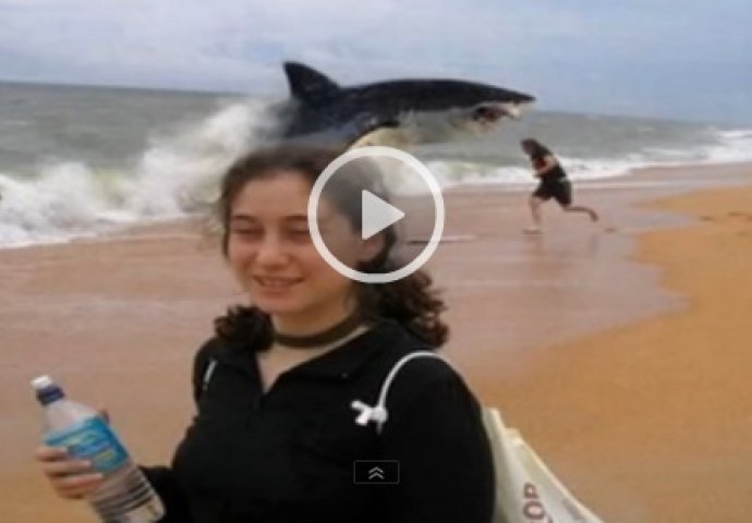 Užasavajući video: Šetao plažom, a iz vode izronilo pravo čudovište