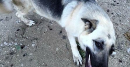 Adolf Hitler zaista se nalazi na ovoj fotografiji: Možete li ga vidjeti?