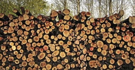 Samo 2% ljudi je primijetilo ženu na slici! Pokušajte je pronaći