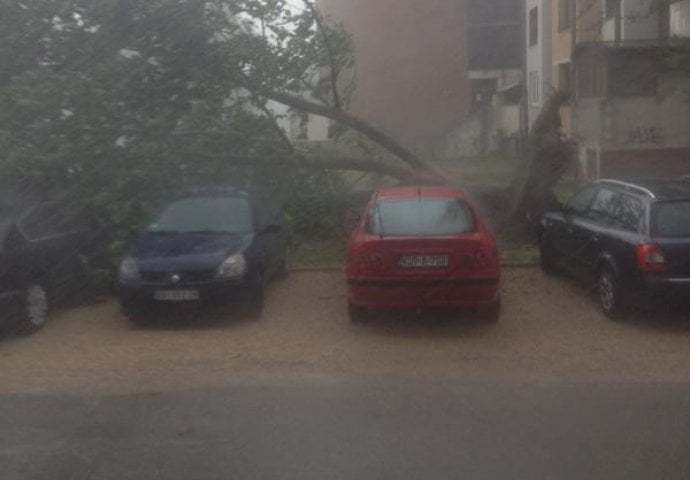 Strahota u Doboju: Nevrijeme čupalo stabla, desetine automobila oštećeno