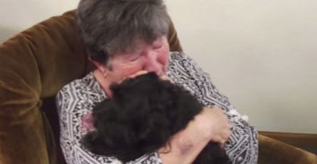 (VIDEO) Pala je u očaj nakon što joj je pas nestao, a njihov ponovni susret će vas RASTOPIT