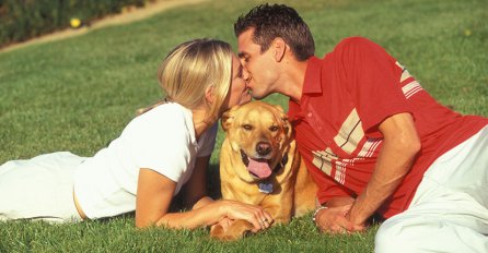 NE UJEDA, ALI MOŽE DA BUDE JAKO ZLA: Ne možete ni da pretpostavite koga želi da udomi ovaj čovjek!