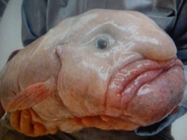 11406223-892038437535196-3817959240528248792-o