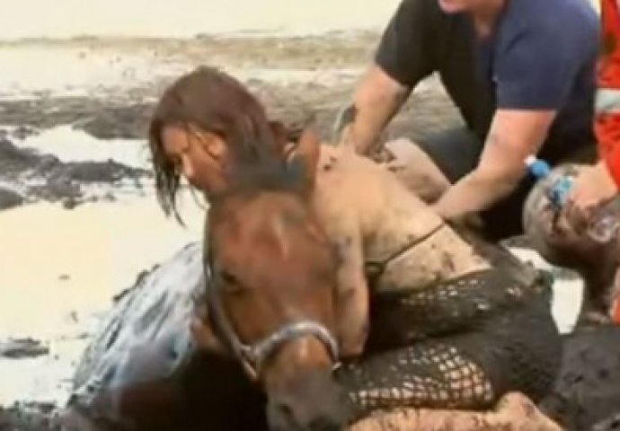 NEDAĆE: Tonula je sa konjem u blato, ali kasnije se desilo nešto što je rasplakalo planetu!