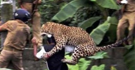 Fotografije životinja koje dah prekidaju!