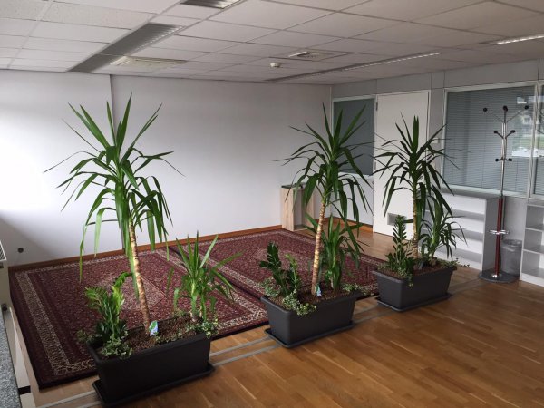 1540464-673328386130665-8353310088395292451-o