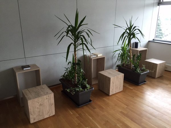 11538131-673328372797333-462934568618717702-o