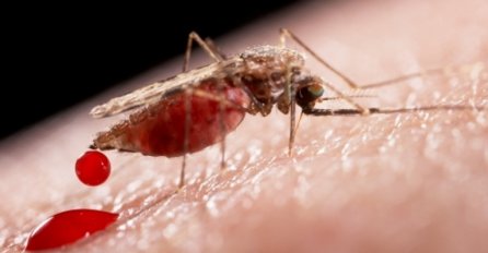 Naučnici otkrili novi lijek protiv malarije