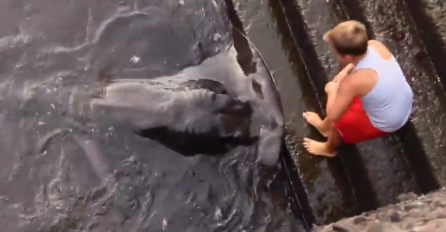 Ovaj hrabri dječak ima neobičnog prijatelja, a njihovo druženje je mnoge ZAPREPASTILO