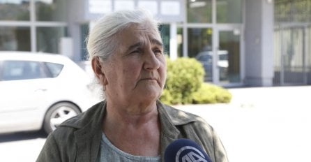 Munira Subašić na sastanku sa Goranom Salihovićem: Orić mora što prije biti vraćen u BiH