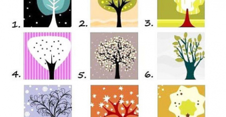 Test ličnosti: Izaberite jednu sliku i otkrijte nešto o sebi