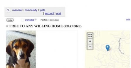 ''PAS ILI JA'', REKLA JE: Shvatio je da mora potražiti novi dom - ali pogledajte za koga!