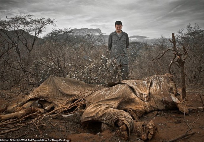 ALARMANTNO: Ove fotografije pokazuju koliko smo zapravo u opasnosti!