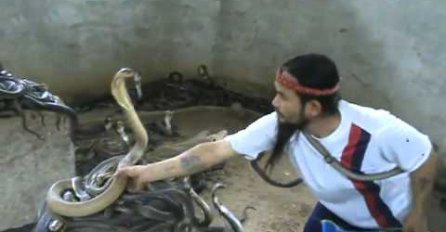 (VIDEO) Rukama je uhvatio dvije kobre, a ono što je potom uslijedilo će vas ZAPREPASTITI!