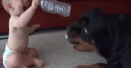 Rotvajler ukrao bocu od bebe, NJEZINA REAKCIJA - NEPROCJENJIVA