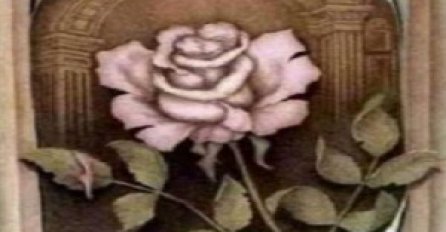  Legenda kaže da ovo mogu da primjete samo ljudi čistog srca! Pokušajte,  da li vidite?