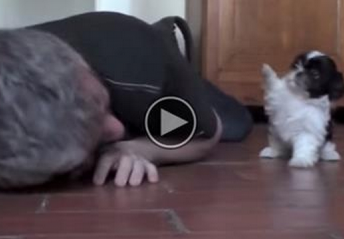 Slađi video u životu niste gledali! Legao je pored malog psa, pogledajte šta se desilo...