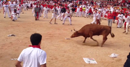 Bikovi proboli tri muškarca, desetero u bolnici