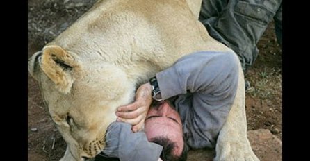 Prestrašan video: Kako divlje životinje napadaju ljude!