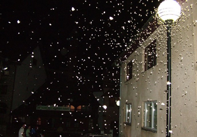 ŠTA SE DEŠAVA U ROŽAJAMA: Najezda noćnih bijelih leptira koji mogu izazvati alergije zabrinula građane