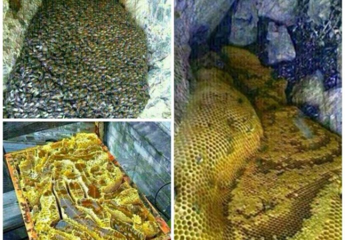 U brdskom području na jugu Jemena otkrivene "rijeke meda"