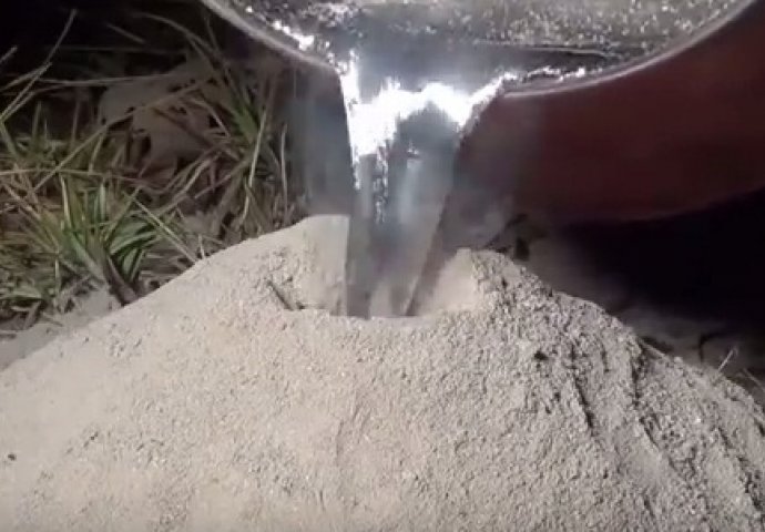 Pogledajte šta se dobije kada se u mravinjak izlije topljeni aluminijum!