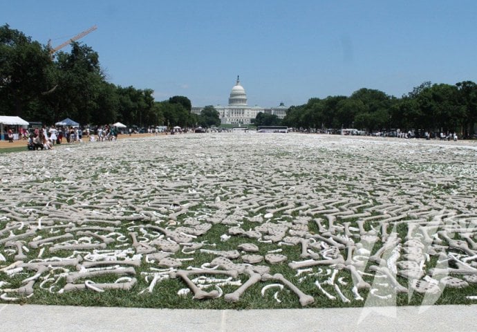 Milion kostiju prosuto po travi u Washingtonu u znak sjećanja na genocid