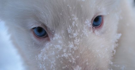 Predstavljamo vam najhladniji grad na svijetu- Jakutsk