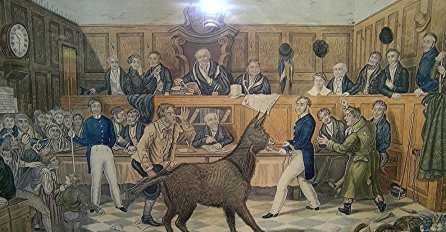 20 nevjerovatnih historijskih činjenica