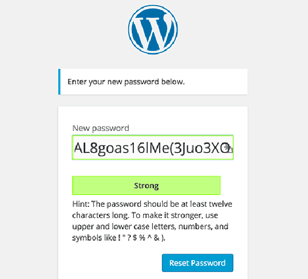 wordpress-password