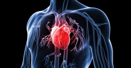 Veliki iskorak u liječenju srčanih oboljenja: Naučnici od matične ćelije proizveli srčano tkivo