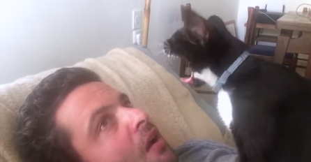 Urnebesan video: Evo kako se provela jedna maca, kada je pokušala da izigrava zubara