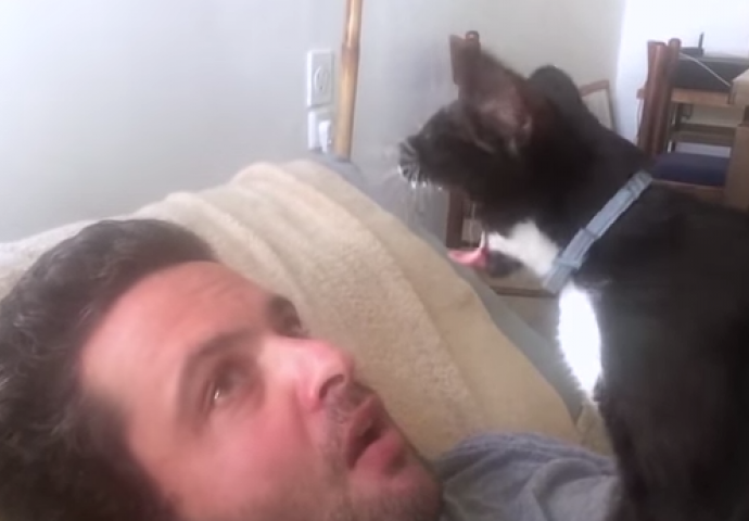 Urnebesan video: Evo kako se provela jedna maca, kada je pokušala da izigrava zubara