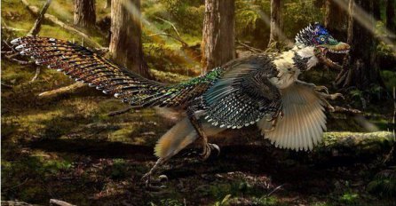 U Kini pronađeni ostaci drevnog "krilatog zmaja"