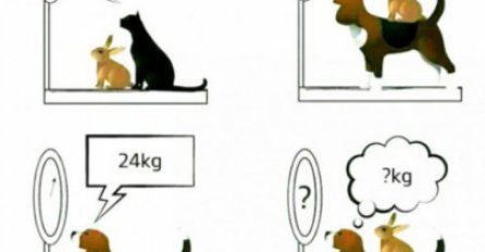 Samo rijetki mogu riješiti ovu zagonetku, da li ste među njima?