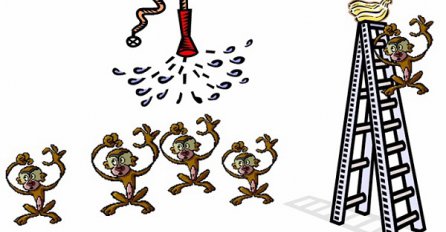 Poučna priča o pet majmuna: Provjerite da li se slučajno pronalazite?