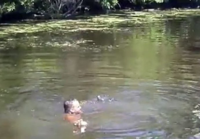 (VIDEO) Skočio je u rijeku punu krokodila, a evo kako su ga dočekali!