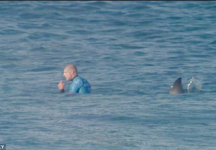 Professional surfer attacked by a shark