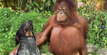 Pogledajte zašo je ova reklama izmamila osmijeh na lice svakome ko je pogleda!  (VIDEO)