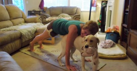 Društveni aerobik: Pogledajte na koji način ovaj pas ometa svoju vlasnicu tokom vježbanja!