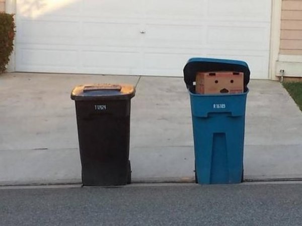 bec4a89f49648cbaa439b30777fea3f3