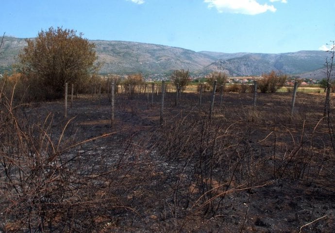 Užasne scene iz Hercegovine: Požar guta sve pred sobom