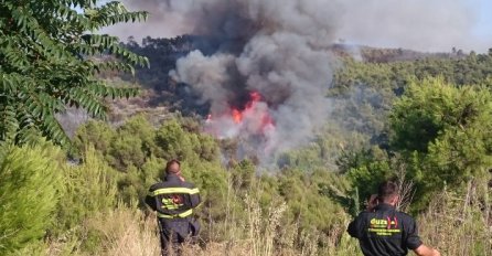 Uhvaćena piromanka, u dva dana potpalila šest požara