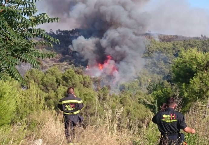 Uhvaćena piromanka, u dva dana potpalila šest požara