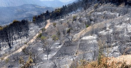 Na Pelješcu i Korčuli stanje elementarne nepogode