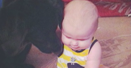 Dadilja zlostavljala bebu od 7 mjeseci. Pogledajte šta je pas uradio