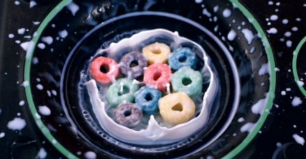 Izlio je jaje na zvučnik, ono što se poslije desilo je fascinantno! 