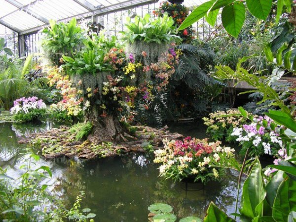 kewgardens-12-feb-2011-30-634x475