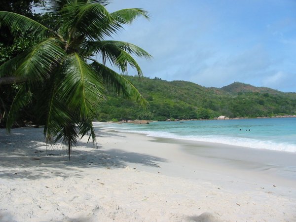 seychelles-praslin-anselazio